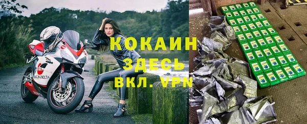 ГАЛЛЮЦИНОГЕННЫЕ ГРИБЫ Горнозаводск