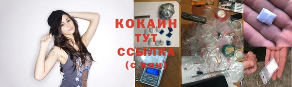 ГАЛЛЮЦИНОГЕННЫЕ ГРИБЫ Горнозаводск