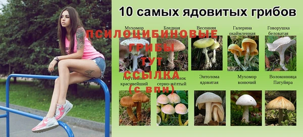 героин Гусь-Хрустальный