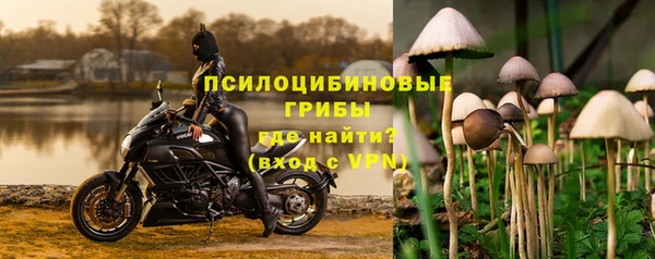 крисы Горняк