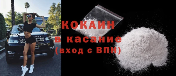 крисы Горняк
