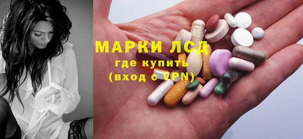 крисы Горняк