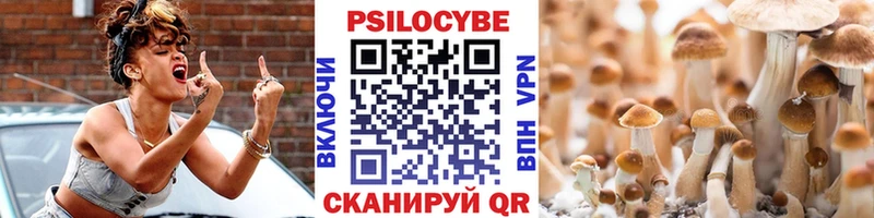 Купить закладки  Шадринск  Псилоцибиновые грибы прущие грибы 